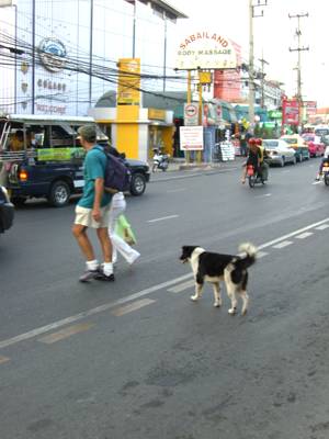 Strasse �berqueren