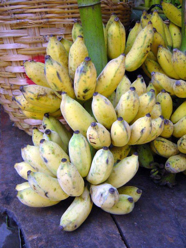 Memorial Bridge Markt Bananen