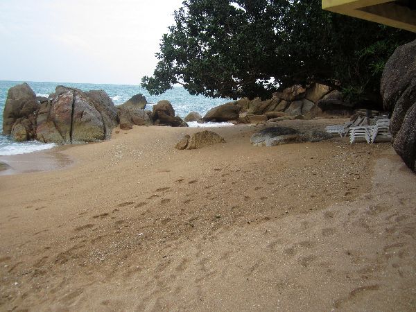 Coral Cove Beach