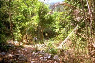 Na Muang Wasserfall