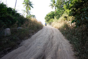 Mango Viewpoint Strasse